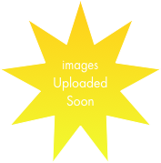 images Uploaded Soon